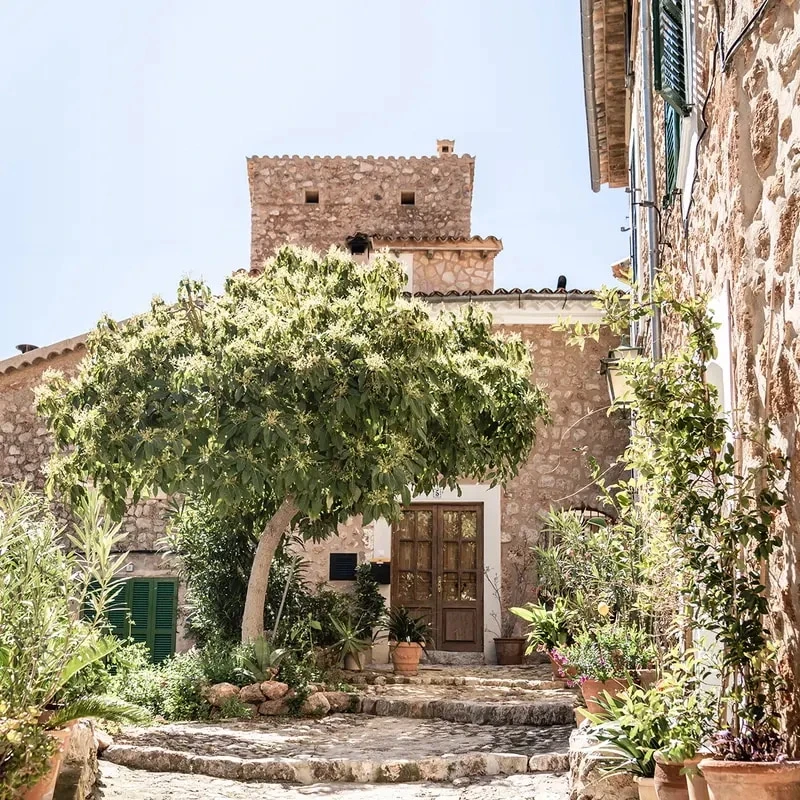 Our unique approach will find and secure the property of your dreams.