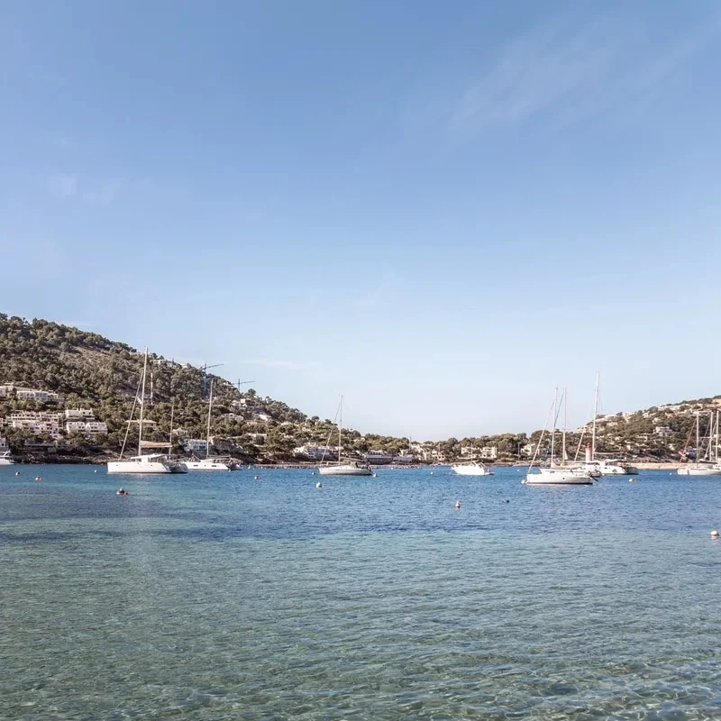 Yachts in the sea