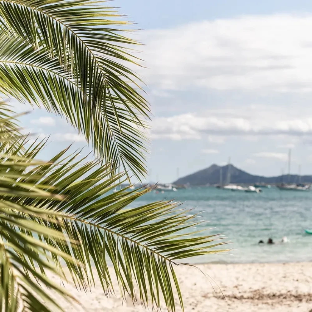 Port Pollensa, Mallorca