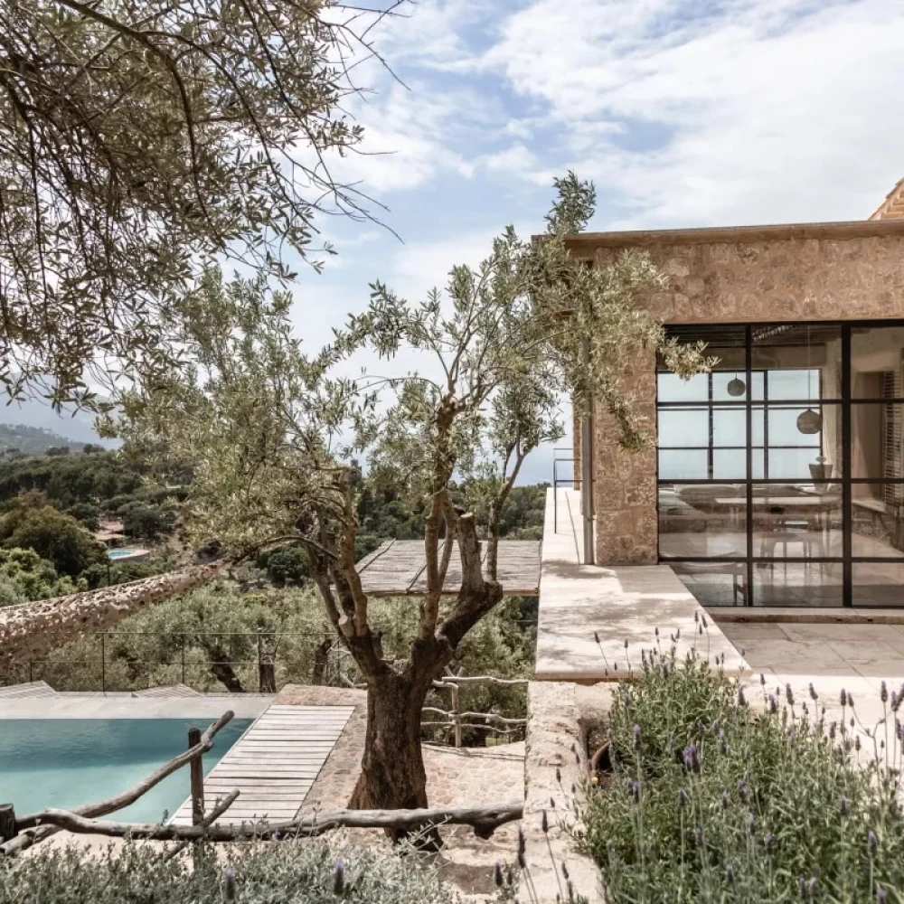 Mallorca villa with a swimming pool and tree