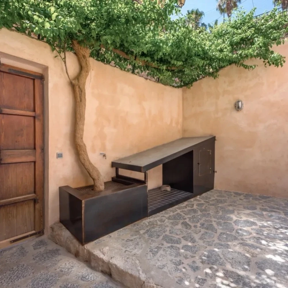 Courtyard with a tree growing up wall