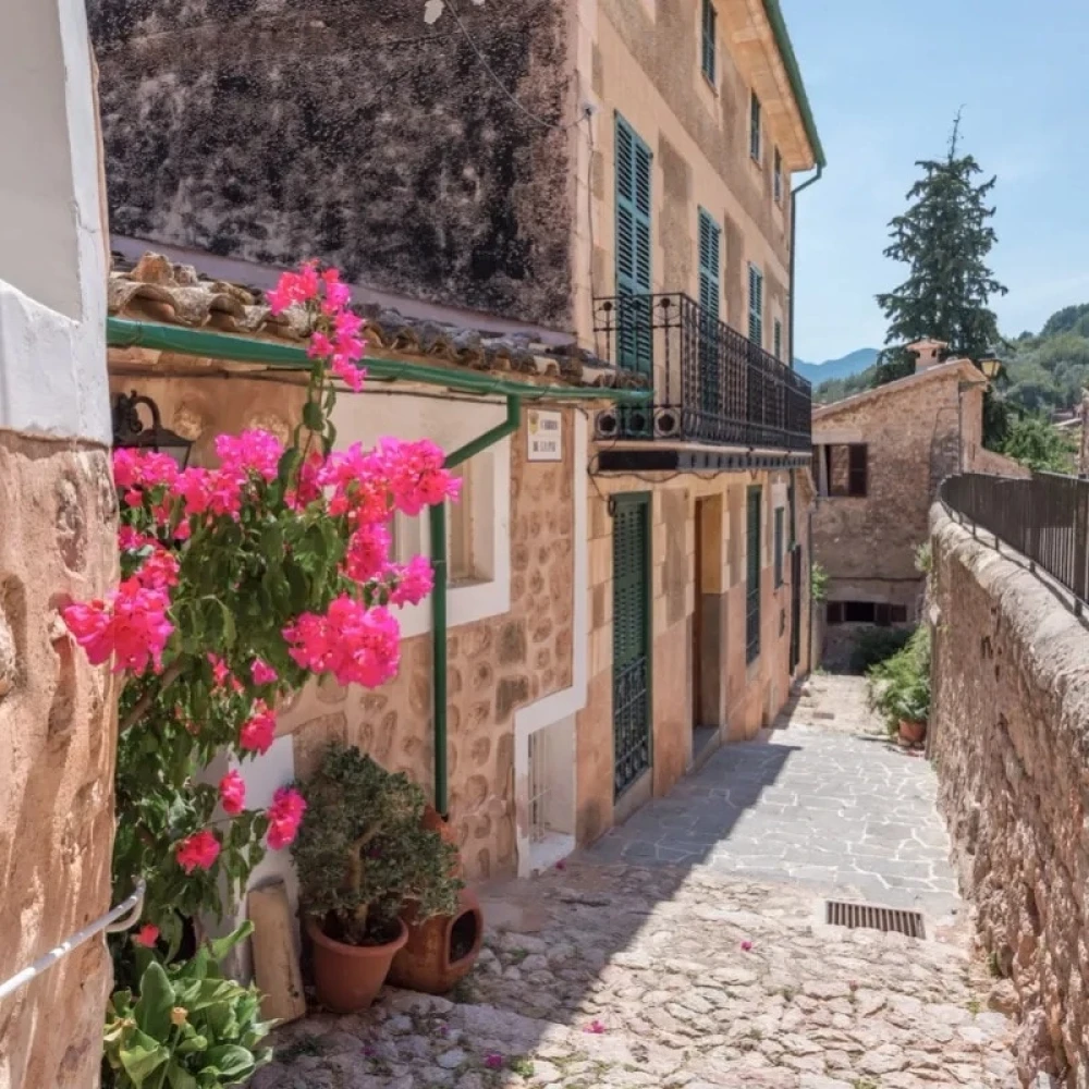 Outside view of villa with a pink flower