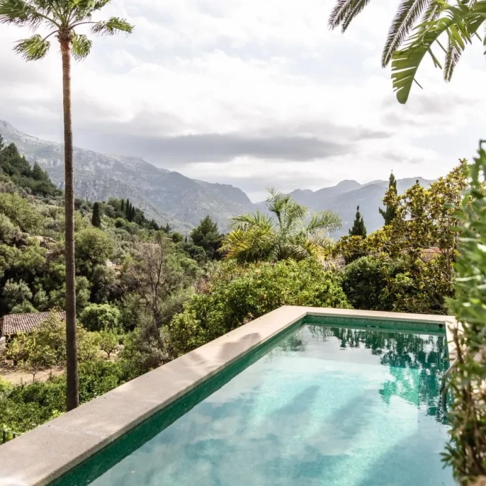 Outdoor pool with a view of trees and plants