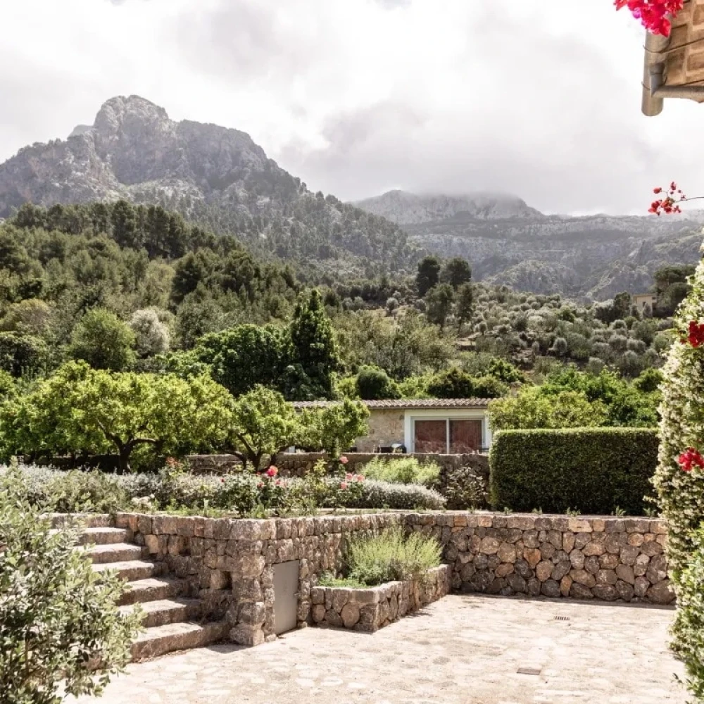 Villa garden with trees and plants, mountain view