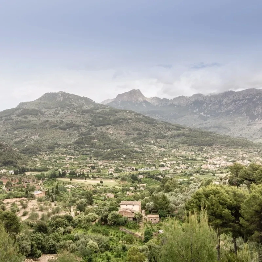 Mountain view with homes and vegetation