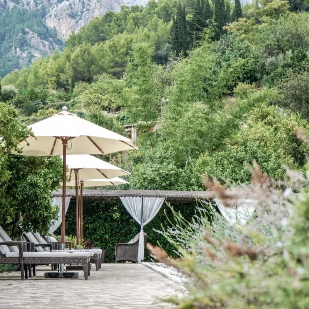 Garden with trees and plants with sun loungers