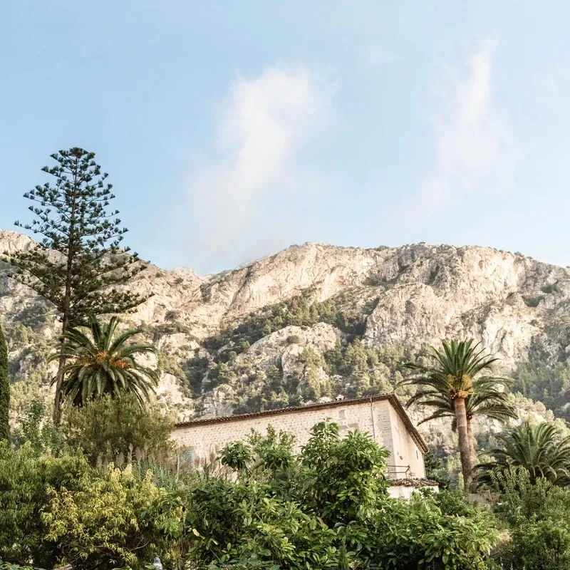 The finest on-market and off-market properties the island has to offer.